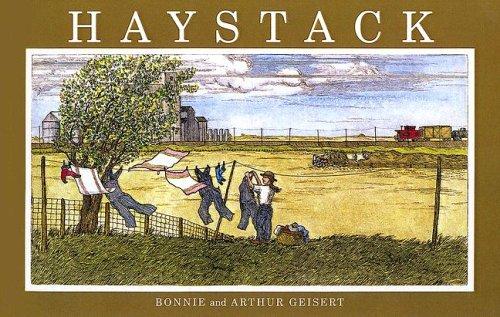 Haystack book cover