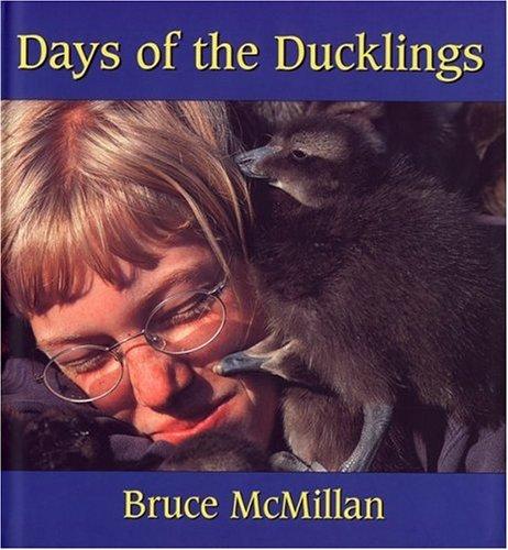 Days of the Ducklings book cover