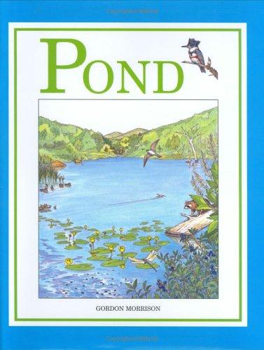 Pond book cover