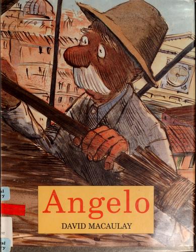 Angelo book cover