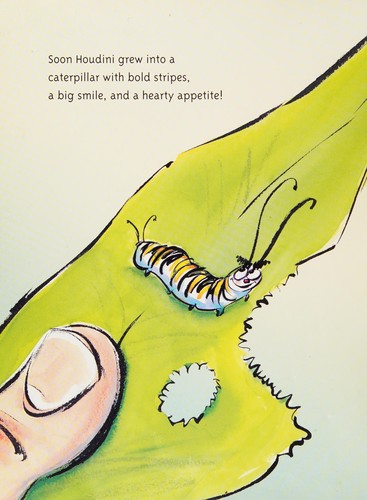 Houdini the amazing caterpillar book cover