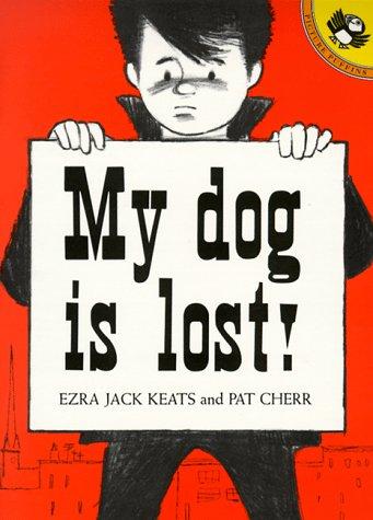 My dog is lost! book cover