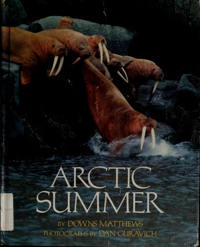 Arctic summer book cover