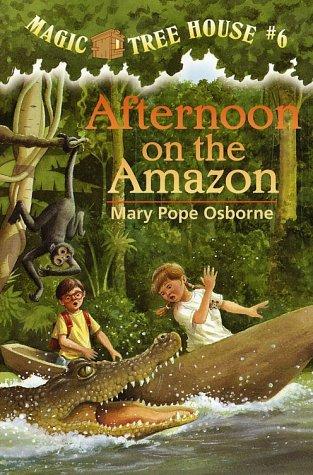 Afternoon on the Amazon book cover