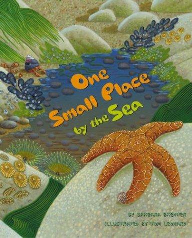 One Small Place by the Sea book cover