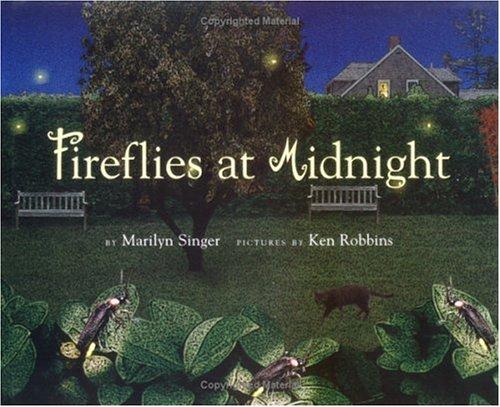 Fireflies at midnight book cover