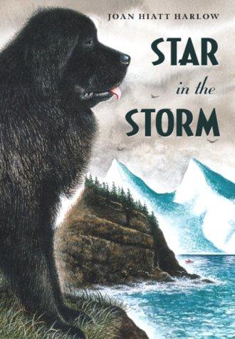 Star in the storm book cover