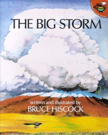 The Big Storm book cover