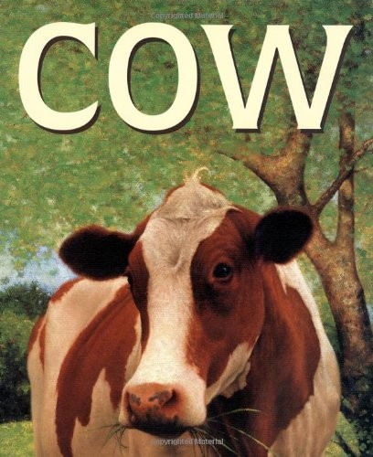 Cow book cover