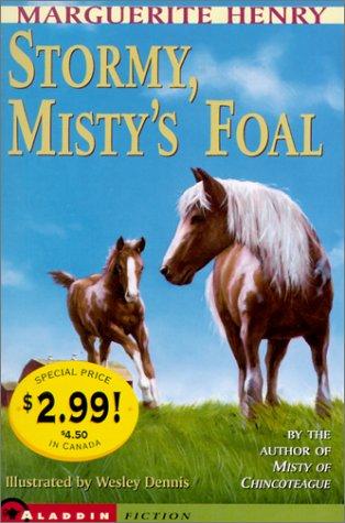 Stormy, Misty's Foal (Misty #3) book cover