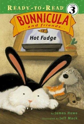 Hot Fudge book cover