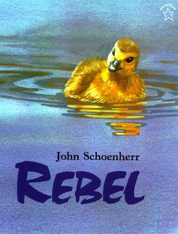 Rebel book cover