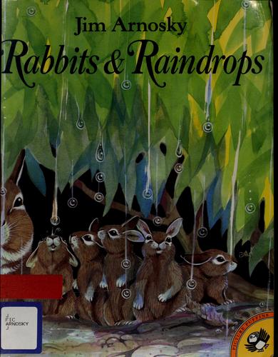 Rabbits and raindrops book cover