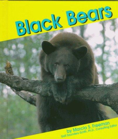 Black bears book cover