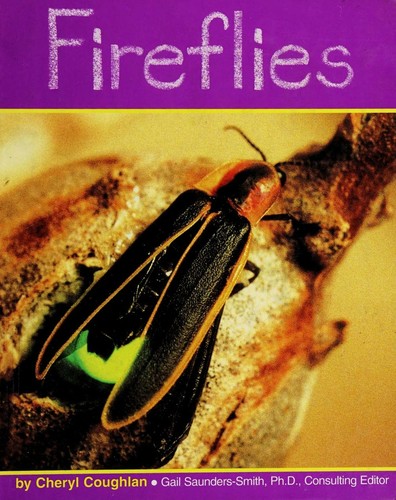 Fireflies book cover