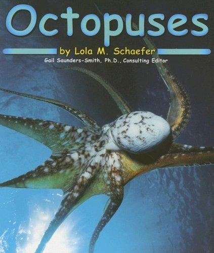 Octopuses book cover