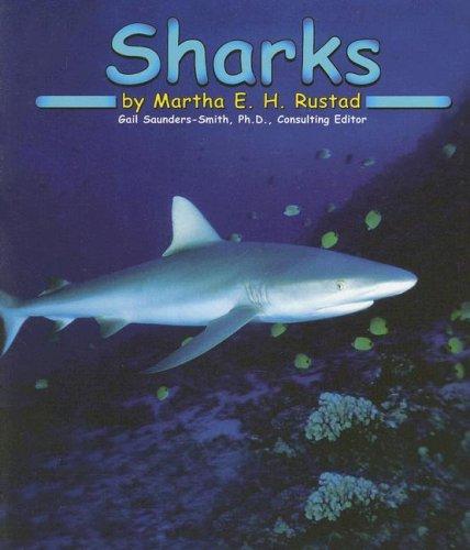 Sharks book cover