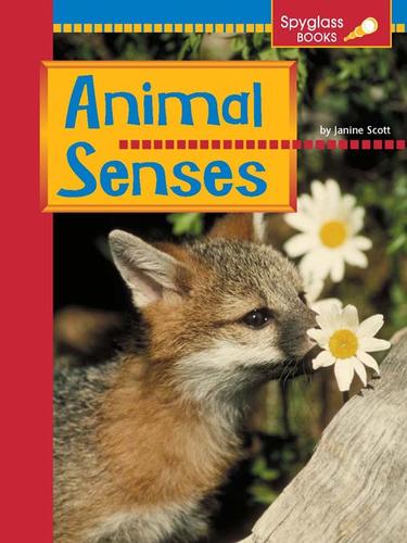 Animal Senses book cover