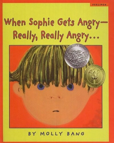 When Sophie Gets Angry - Really, Really Angry book cover
