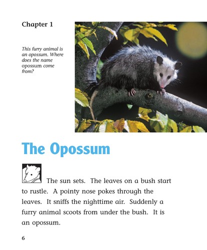 Opossums book cover