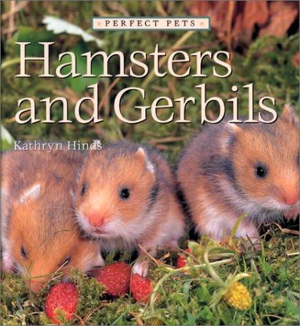 Hamsters and Gerbils (Perfect Pets) book cover