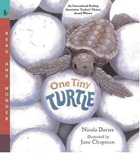 One Tiny Turtle book cover