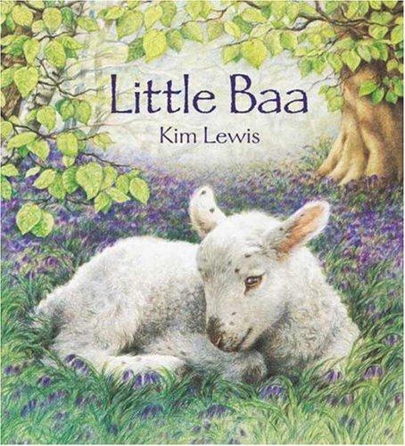 Little Baa book cover
