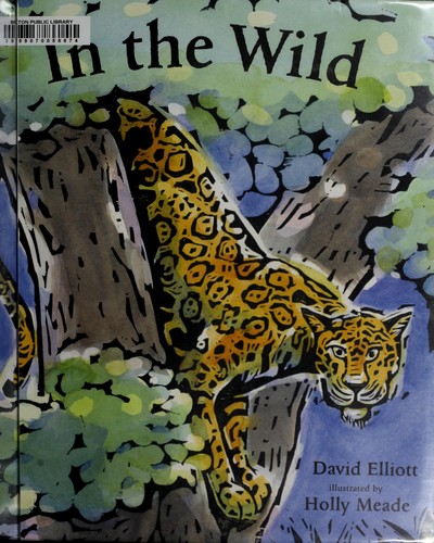 In the wild book cover