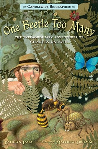 One Beetle Too Many book cover