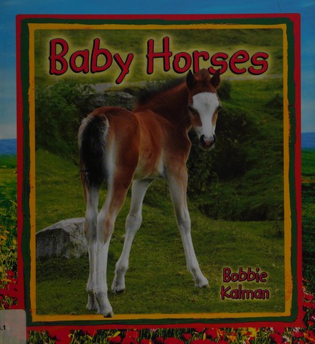 Baby horses book cover
