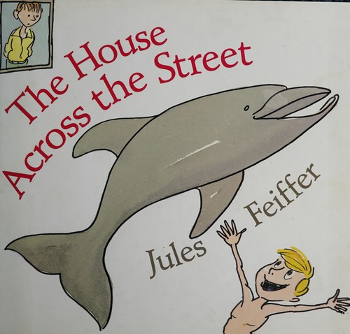 House Across the Street, The book cover