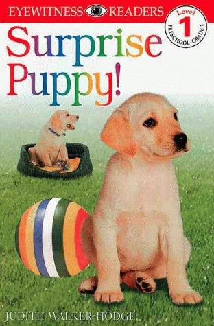 Surprise puppy! book cover