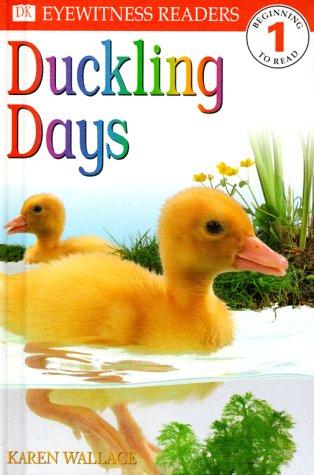 Duckling days book cover