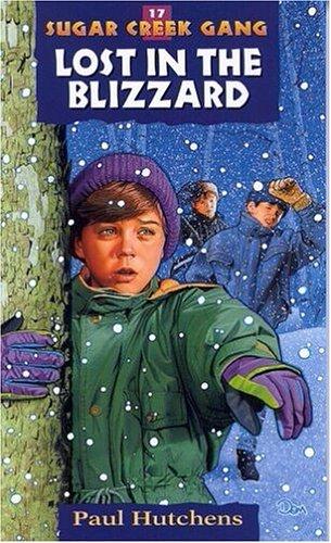 Lost in the blizzard book cover