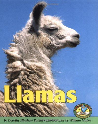 Llamas book cover