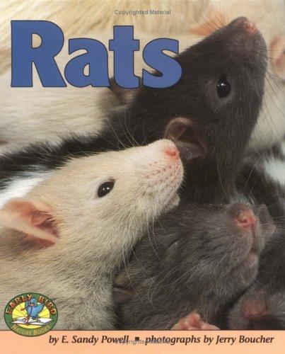 Rats book cover