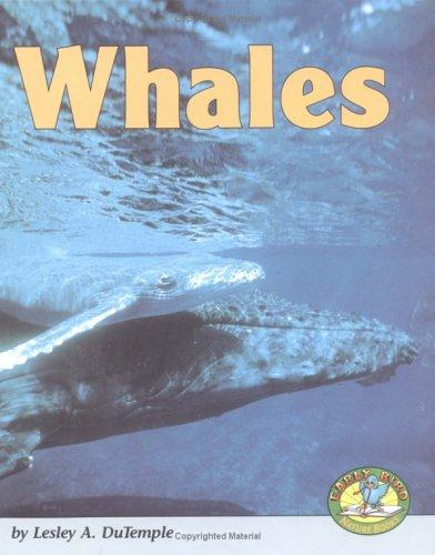 Whales book cover
