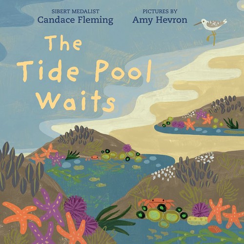 The Tide Pool Waits book cover