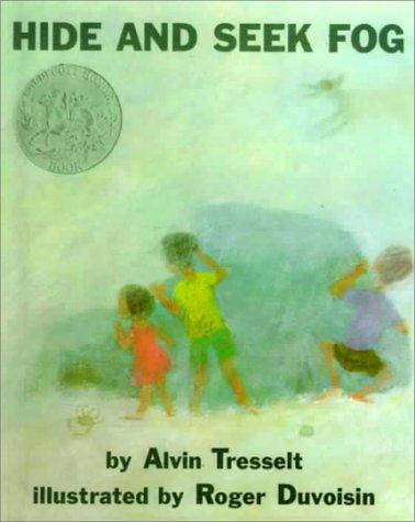 Hide and Seek Fog book cover