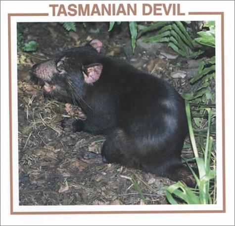 Tasmanian devil book cover