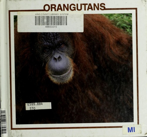 Orangutans book cover
