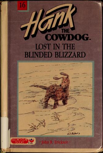 Lost in the blinded blizzard book cover