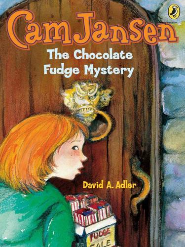 Cam Jansen: The Chocolate Fudge Mystery #14 book cover