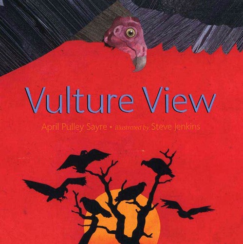 Vulture View book cover