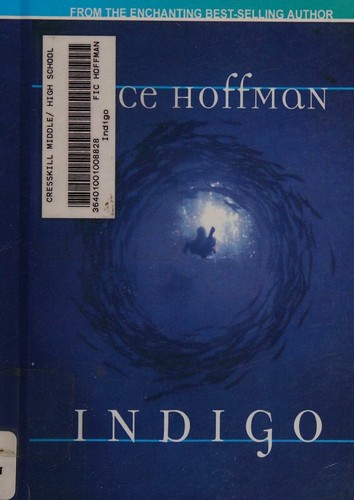Indigo book cover