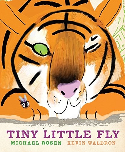 Tiny Little Fly book cover