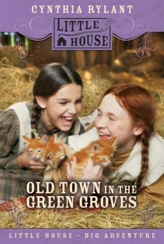 Old Town in the Green Groves book cover