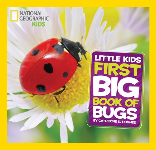 Little Kids First Big Book of Bugs book cover