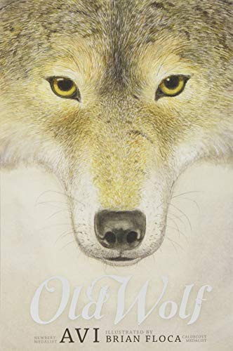 Old Wolf book cover