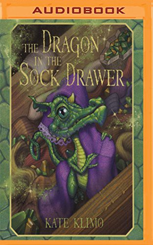 Dragon in the Sock Drawer, The book cover